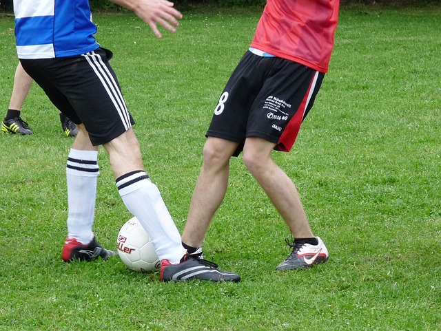 他们成功压 他们成功压