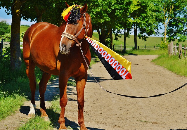 员的使用上 员的使用上