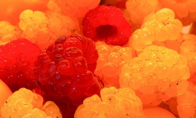 其直言不讳 其直言不讳