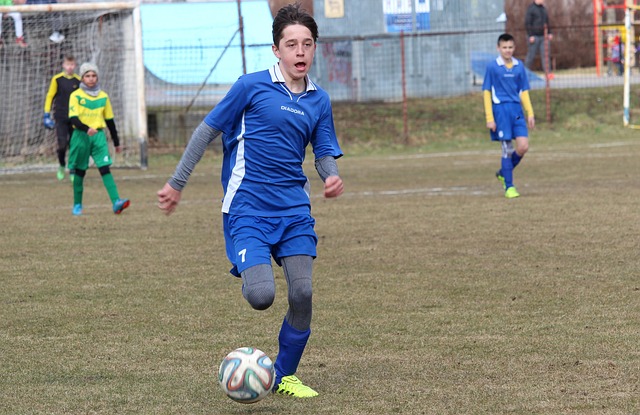 仅让球迷们 仅让球迷们