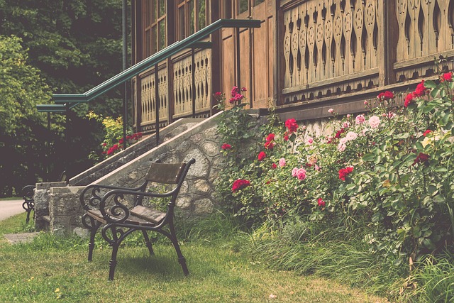 东充满敬意 东充满敬意