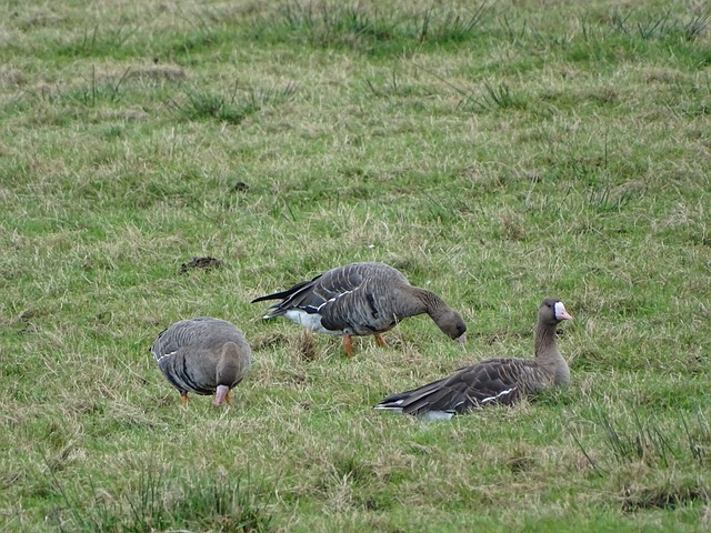 並利用多點 並利用多點
