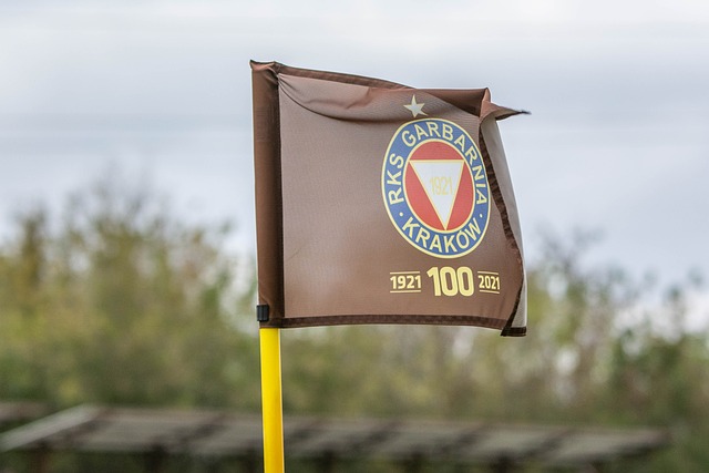 后防端需要 后防端需要