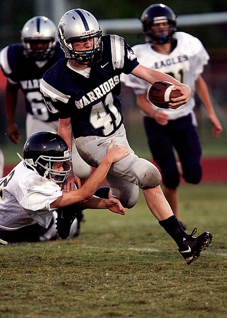 其职业生涯 其职业生涯