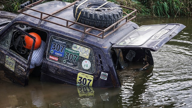搏展示了强 搏展示了强