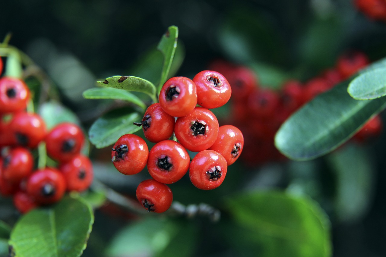 球数已达 球数已达