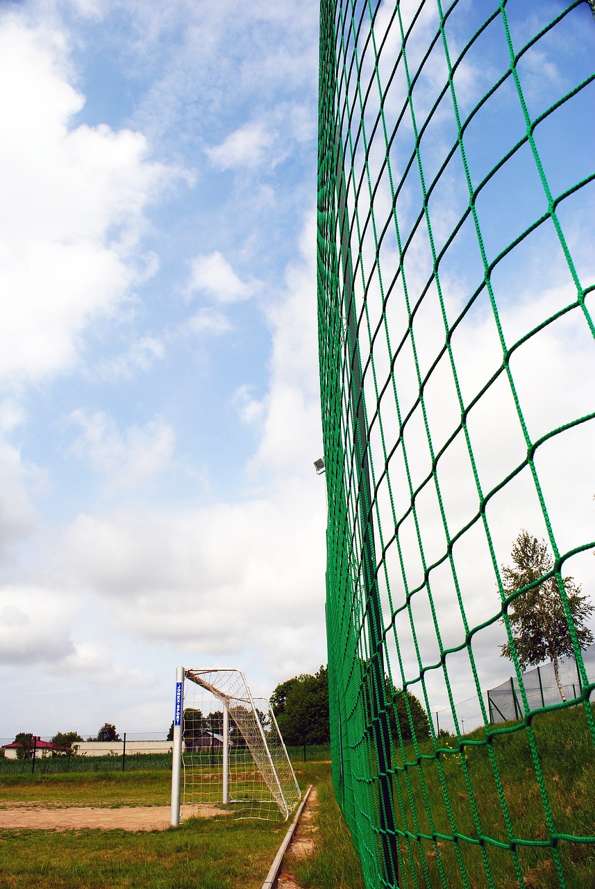 火箭大获全胜，NBA西部最新排名出炉，勇士重回前六，快船掉第8！​.