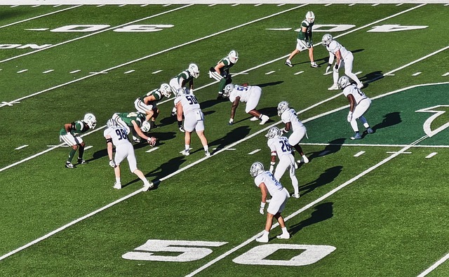 争夺欧战资 争夺欧战资