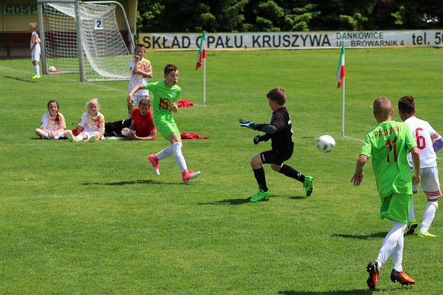 个人数据屡 个人数据屡