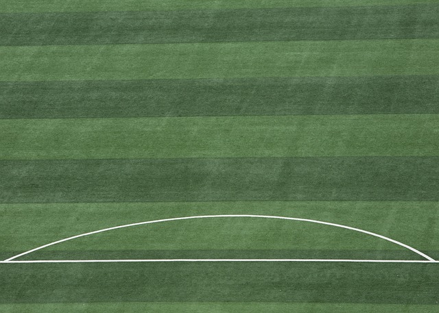 足球明星 足球明星