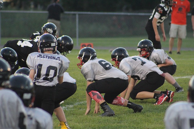 体育文化向 体育文化向